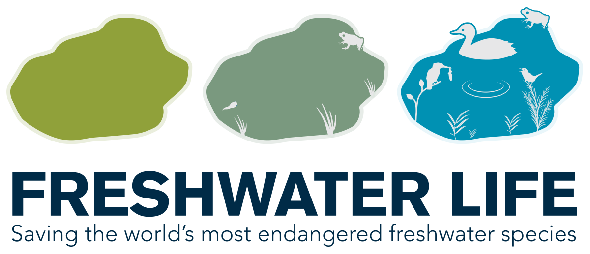 Freshwater Life